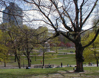 Boston Common