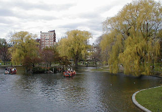 Boston Common